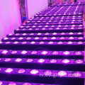 250W Super Beam LED Bar Light